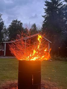 Stuga lilla Vilången