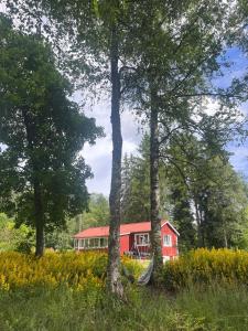 Stuga lilla Vilången