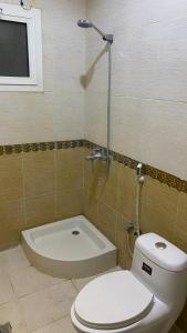 شقة بصالة وغرفتين نوم حديثة