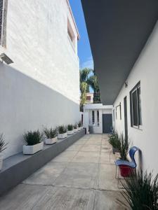 departamento en chapala centro