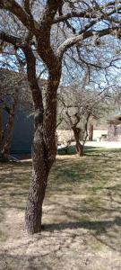 Cabañas El Reencuentro