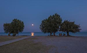 Olympia Mare Kos Greece