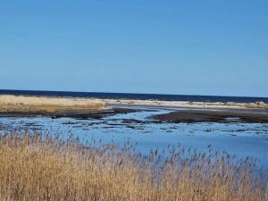 4 person holiday home in Hals-By Traum