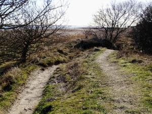 4 person holiday home in Hals-By Traum