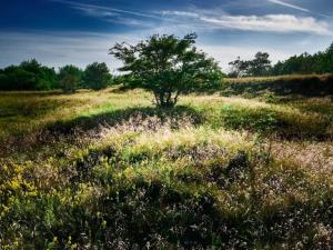 4 person holiday home in Hals-By Traum