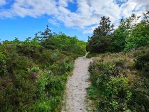 6 person holiday home in Hals-By Traum