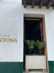 Casa Hotel Serena