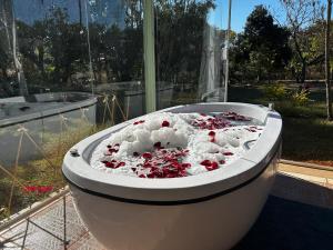 Imersão na Natureza com Hidro