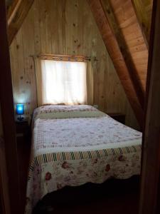 Cabaña en Choshuenco con Tinaja