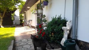 Oáza klidu v Březové