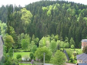 Mountain Bliss in Borstendorf