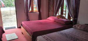 Hammads Guest