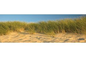 Apartment in Colijnsplaat near Lake and Sauna