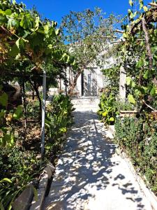 Deas Garden home