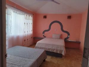 Bungalows los tréboles