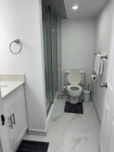 Studio Basement Apartment