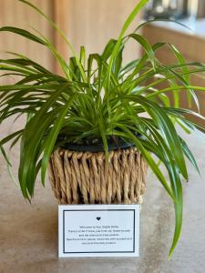 Private Treehouse Villa and Outdoor Bath