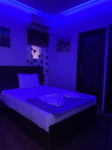 Youssef pyramids view