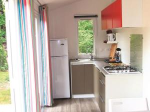 Mobil home spacieux avec terrasse à Dévillac - API-1-52-234