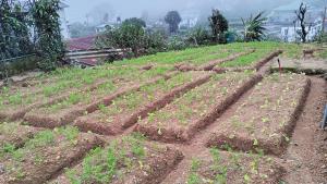 Misty dorm apartment 2