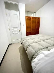 Snowpeak - Titicaca lake - Downtown