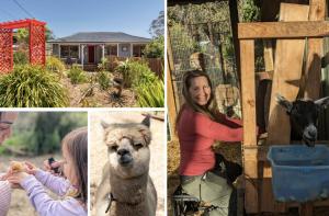 Blue Mountains Urban Farm Stay near Sydney