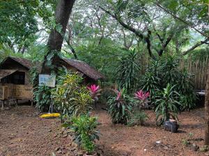 EL BOSQUE RESORT CORON