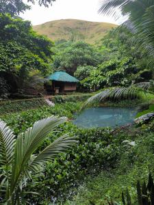 EL BOSQUE RESORT CORON