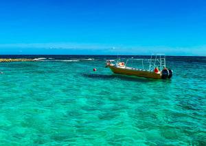 #1 Beach Mexico & Cenote - 8 Min Walk, 1BR 2BR Duplex Sleeps 2-8, La Quinta 20 Min, Kitchen WiFi AC Bikes
