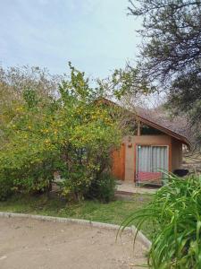 Cabañas Los Sauzales del Elqui