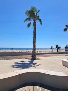 Appartement refait à neuf, climatisé, en rez-de-jardin, à 30 secondes de la plage