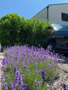 Large house with generous garden