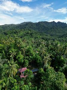 De Chicktoria Hostel