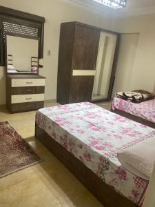 Central apartment with Nile view