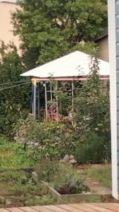 Cozy apartment in the Vinetastadt Barth