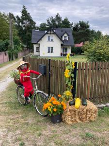 Agroturystyka u Sylwii