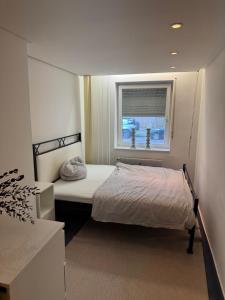 Quiet Family Apartment - 10 min to Center & Oktoberfest - Free Parking - near Nymphenburg Palace & Botanical Garden