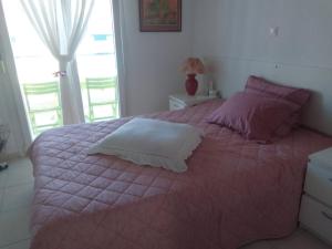 Palm Garden apartment