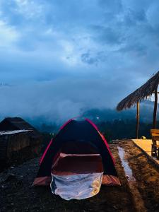 Cindrella Sky Nest Camp Ella