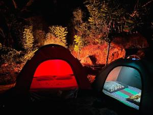 Cindrella Sky Nest Camp Ella