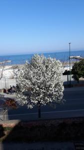 3 rooms amazing sea view beachfront flat BLUE