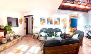 Villa Medinilla with private Pool in Conil