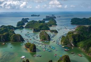 GOLDEN JOY HOTEL & APARTMENT