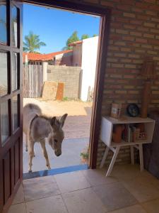 Pousada Viva Barra - Barra Grande - Piauí