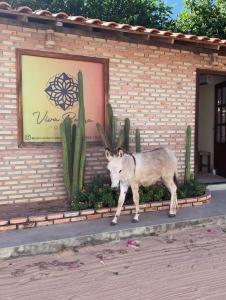 Pousada Viva Barra - Barra Grande - Piauí