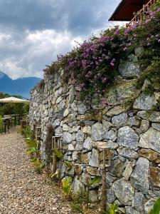 Ap Retreat - Ta Vans Heel