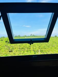 Gia Huan Homestay - Tà Đùng