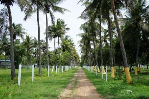 Siesta Inn - Lake view