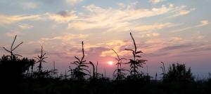 Traditional 18th century converted stables