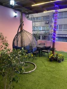 احمد المليحى بالدقى